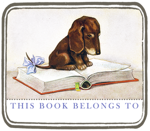 Dachshund Puppy Bookplates