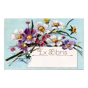 Bookplate Sticker Set - Blue Daisy