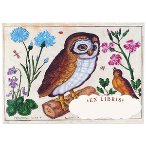 Bookplate Sticker Set - Botanical Owl
