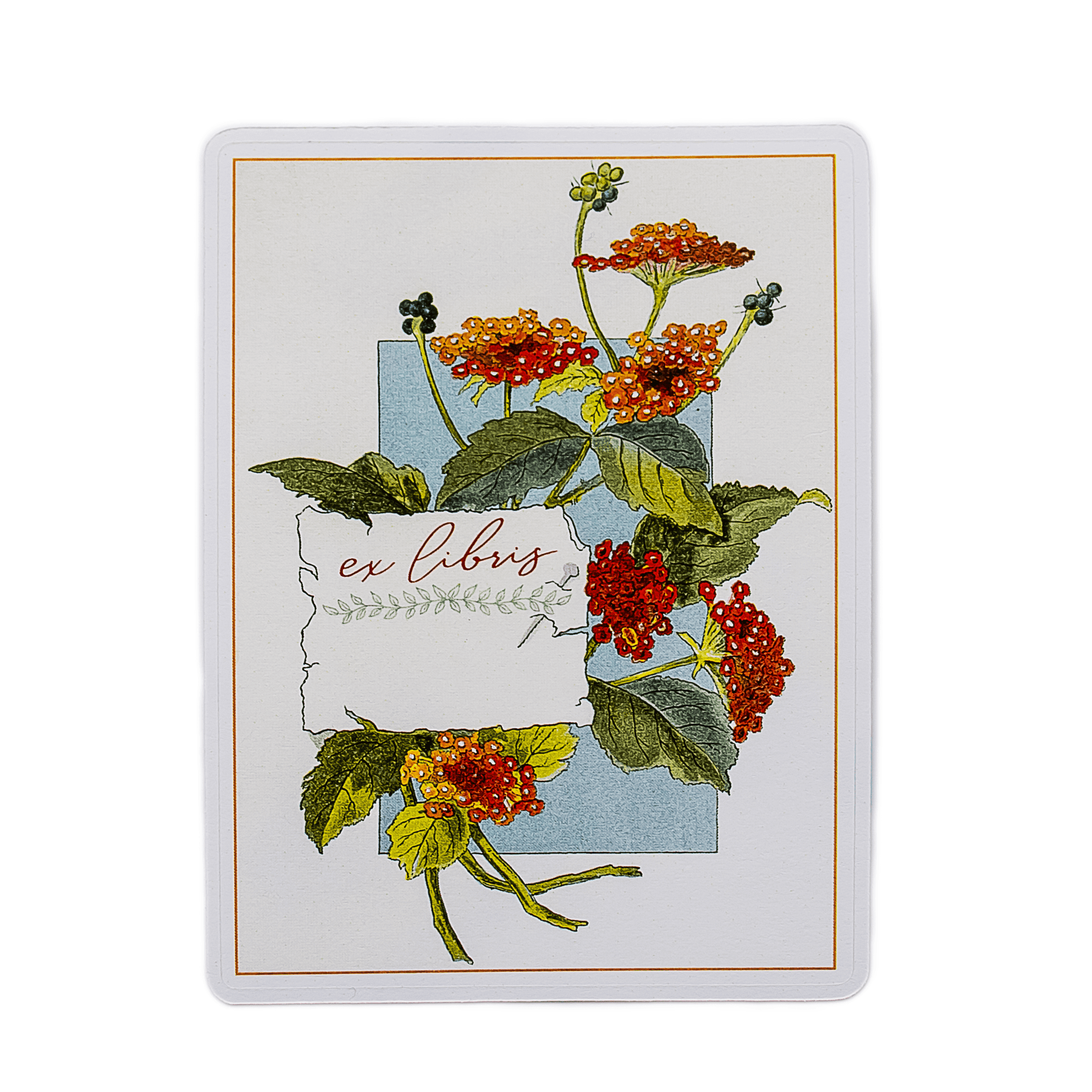 Wild Lantana Bookplate Stickers - Set of 5, 10 or 20 - Sunshine and Ravioli