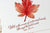 Autumn Leaf Note Card Set - Sunshine and Ravioli