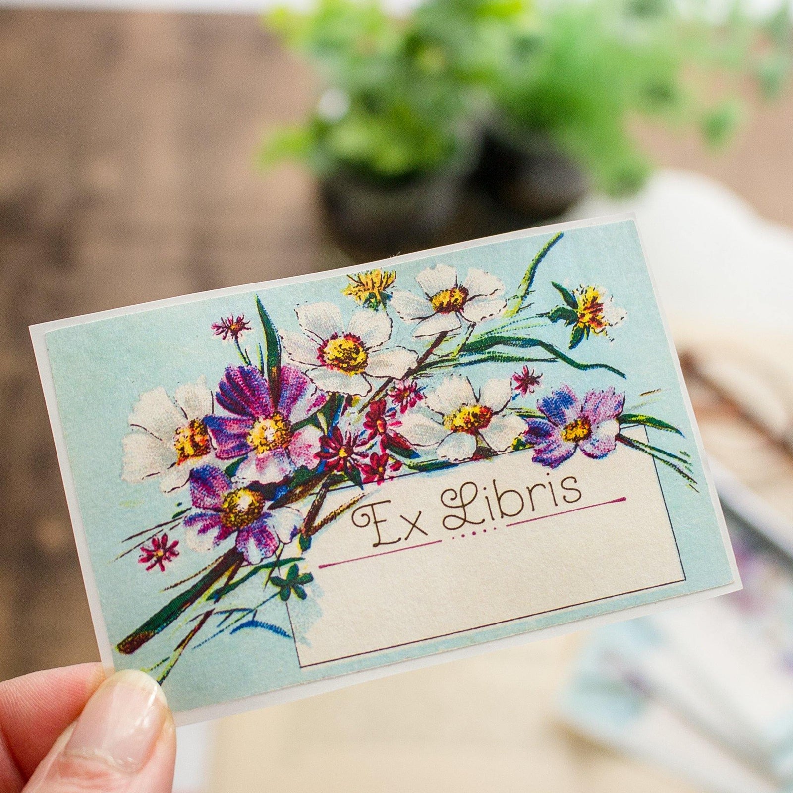 Blue Daisies Ex Libris Bookplates - set of 10 - Sunshine and Ravioli