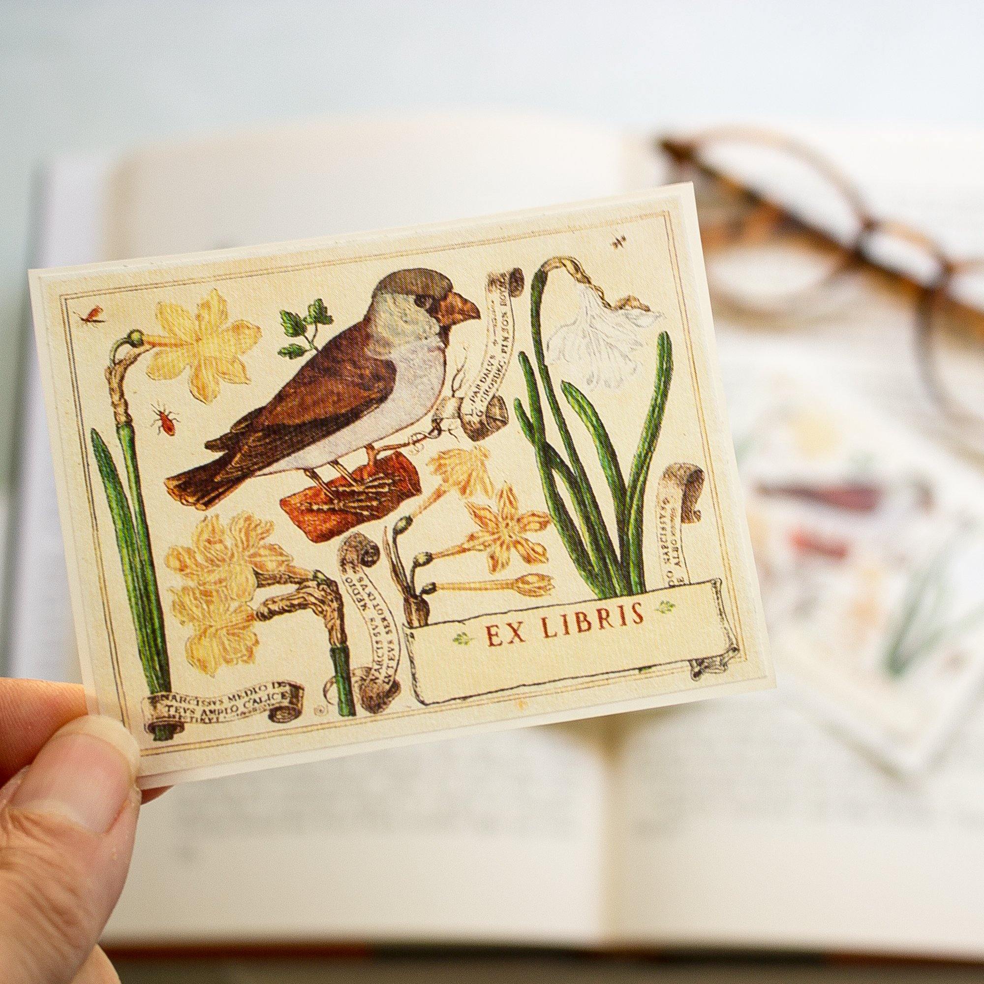 botanical bird and daffodils bookplates - set of 10 - Sunshine and Ravioli