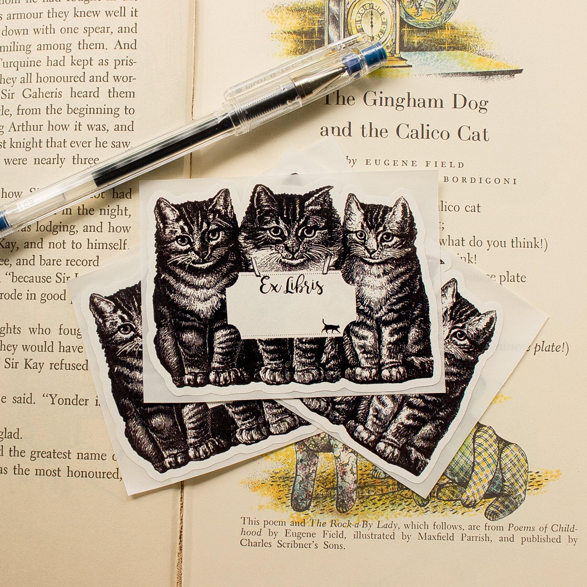 Cat bookplates personalized - set of 10 - Sunshine and Ravioli