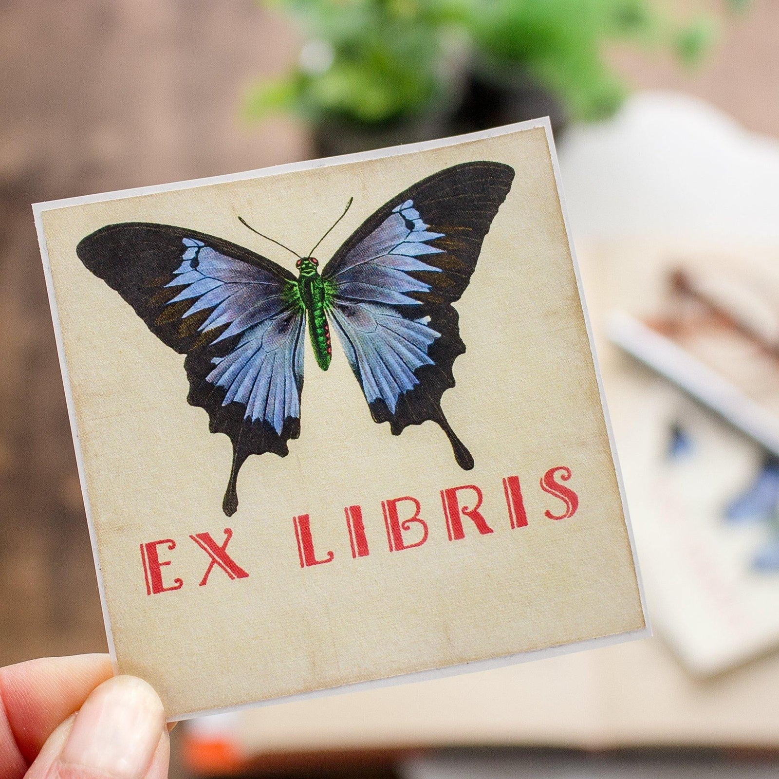 Ex Libris bookplate stickers - blue butterfly - set of 10 - Sunshine and Ravioli