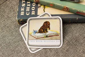 Personalized Dachshund Puppy Bookplates - Bookish Gift for Kids - Set of 10 - Ex Libris - Book Label - Book Plate Stickers