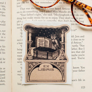 Owl in Library Book Plate Stickers - set of 10 - Sunshine and Ravioli