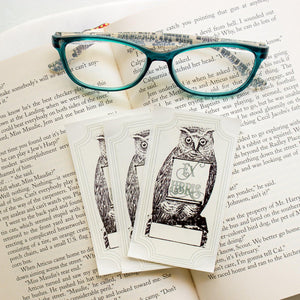 owl with scroll bookplates - set of 10 - Sunshine and Ravioli