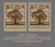 sepia tree bookplates - set of 10 - Sunshine and Ravioli