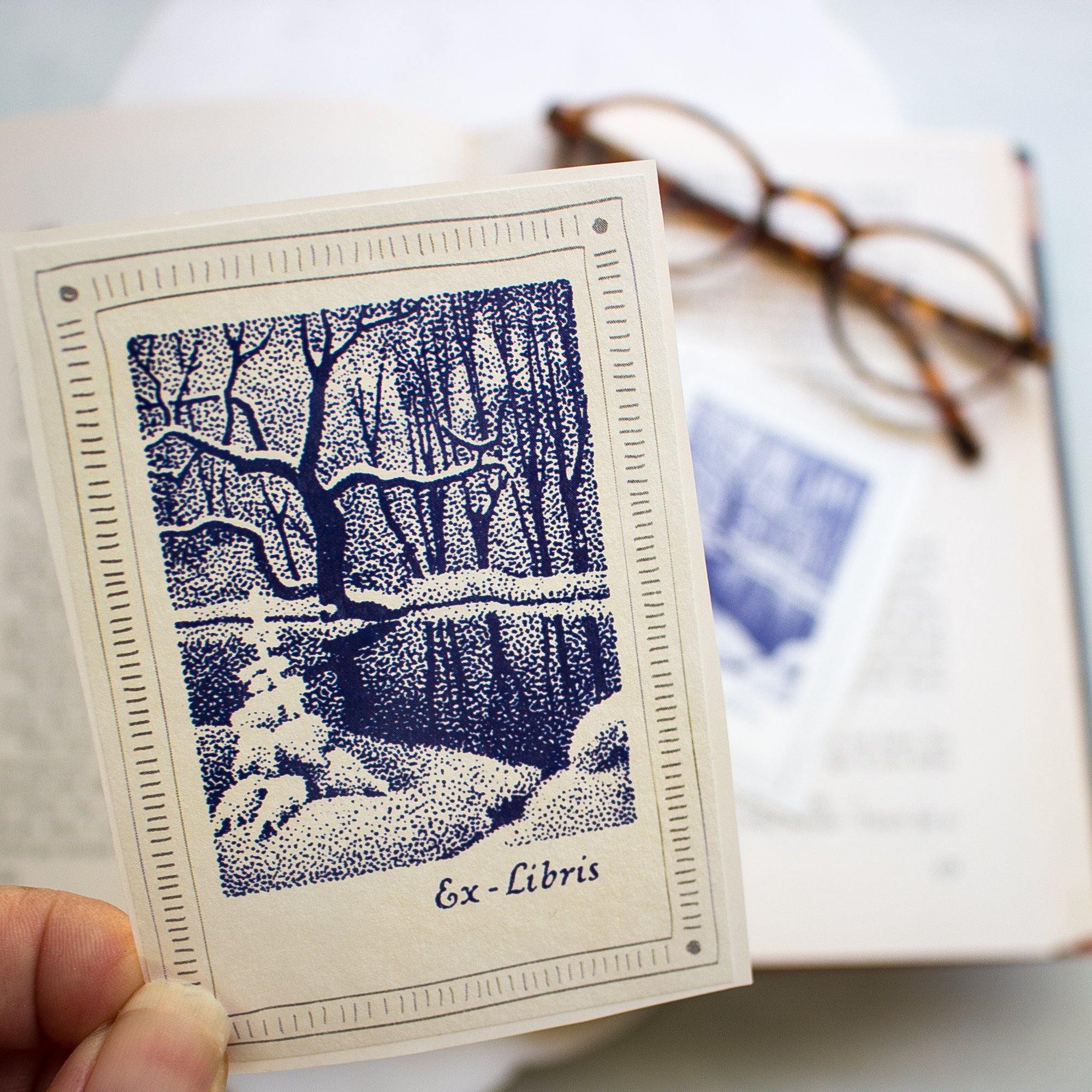 Winter Snow Bookplates - set of 10 - Sunshine and Ravioli